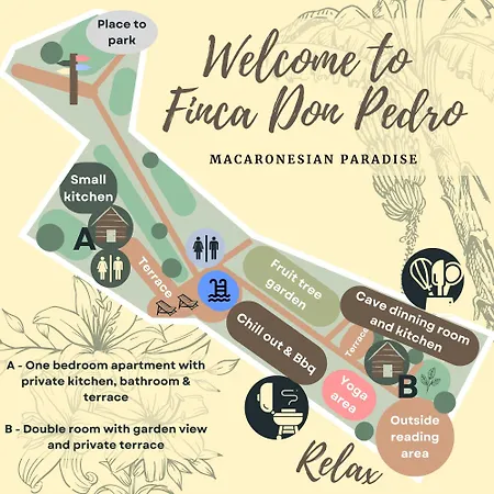 Don Pedro 圣克鲁斯-德特内里费