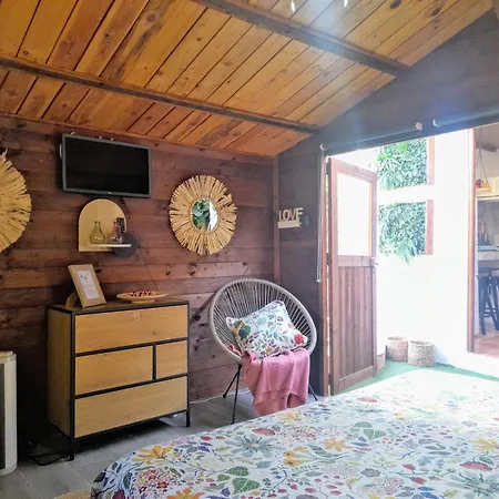 Don Pedro 圣克鲁斯-德特内里费