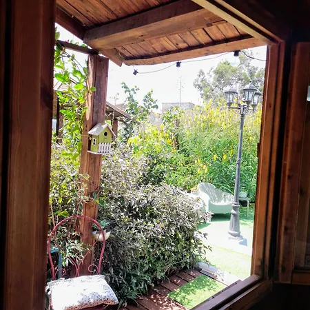 Don Pedro * Σάντα Κρουζ Τενερίφης