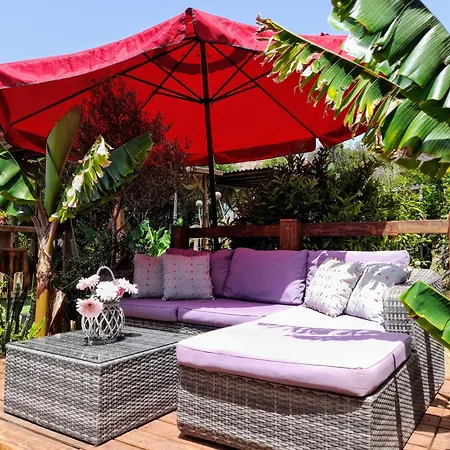 Διαμέρισμα Don Pedro Σάντα Κρουζ Τενερίφης