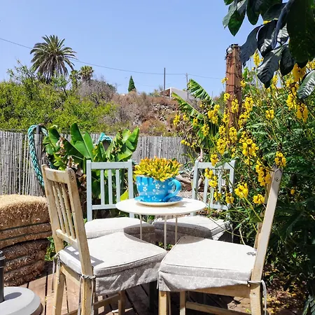 Don Pedro * Σάντα Κρουζ Τενερίφης