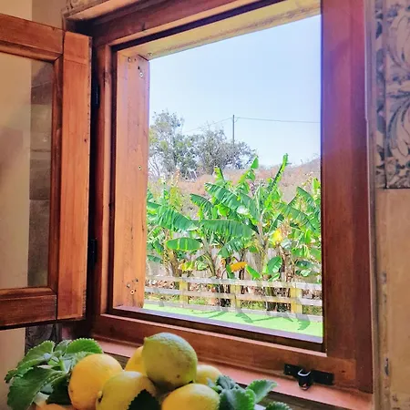 公寓 Don Pedro 圣克鲁斯-德特内里费