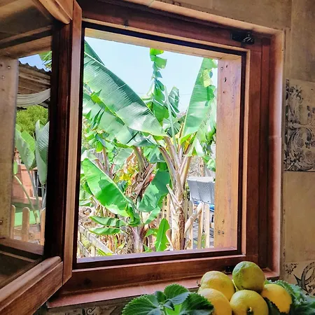 Don Pedro * 圣克鲁斯-德特内里费