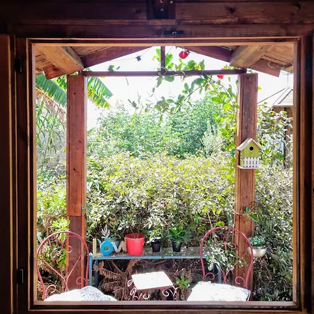 Don Pedro Διαμέρισμα Σάντα Κρουζ Τενερίφης