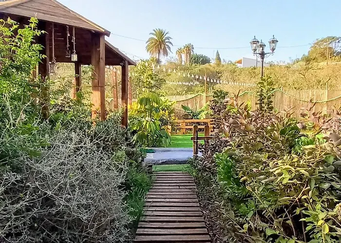 Don Pedro * סנטה קרוז דה טנריף