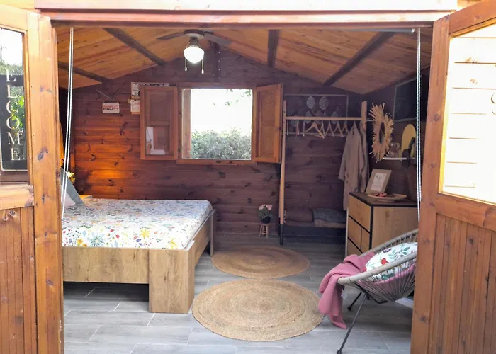 Don Pedro * סנטה קרוז דה טנריף