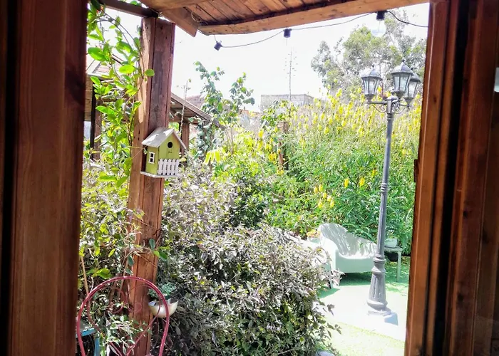 Don Pedro * Santa Cruz de Tenerife