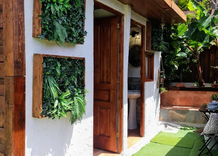 Don Pedro * Santa Cruz de Tenerife