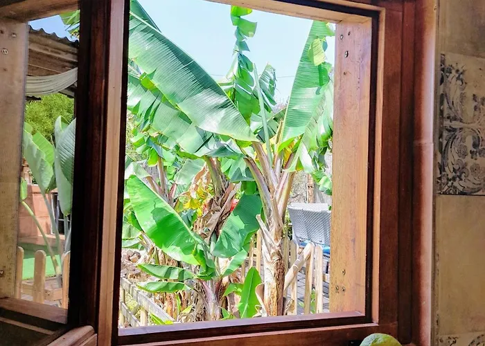 Don Pedro * סנטה קרוז דה טנריף