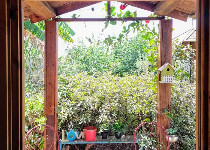 Don Pedro דירה סנטה קרוז דה טנריף