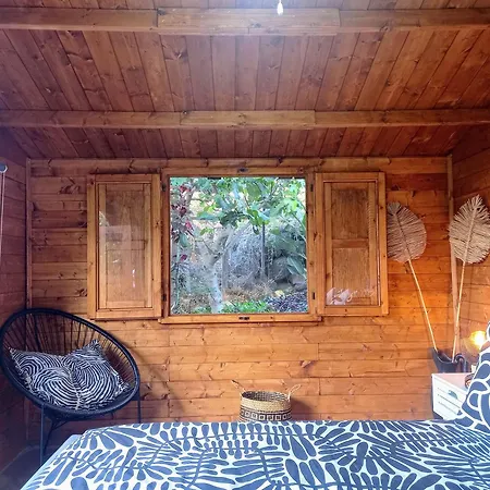 Апартаменты Don Pedro Санта-Крус-де-Тенерифе