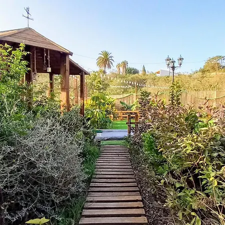 Don Pedro * Санта-Крус-де-Тенерифе