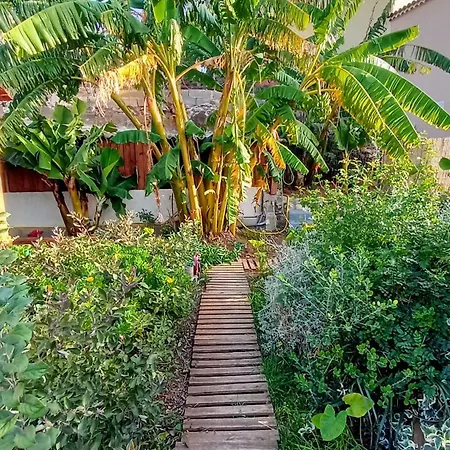 Апартаменты Don Pedro