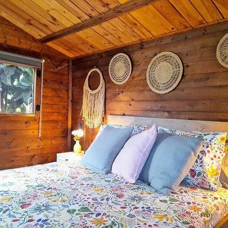 Apartamento Don Pedro *