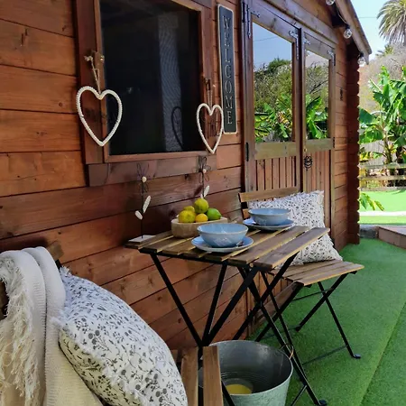 Апартаменты Don Pedro *