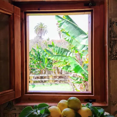 Апартаменты Don Pedro Санта-Крус-де-Тенерифе