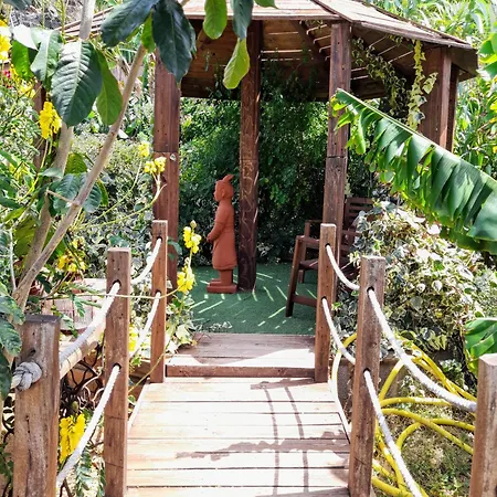 Don Pedro Санта-Крус-де-Тенерифе