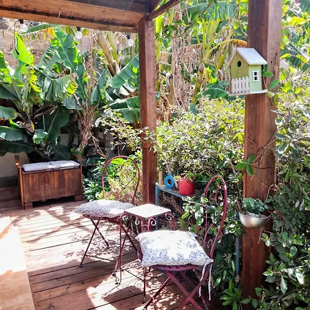 Don Pedro * Санта-Крус-де-Тенерифе