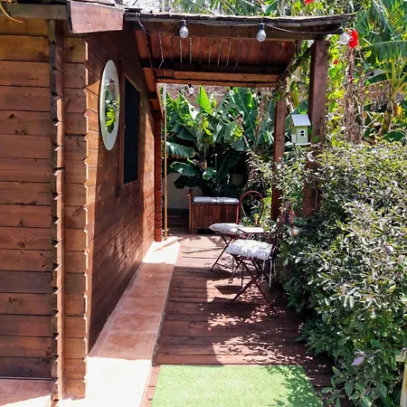 Don Pedro * سانتا كروز دي تينيريف