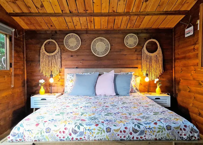 Don Pedro Santa Cruz de Tenerife