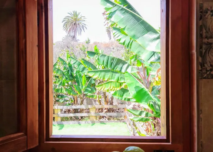 Apartment Don Pedro Santa Cruz de Tenerife