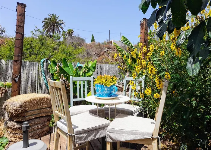 Don Pedro * Santa Cruz de Tenerife