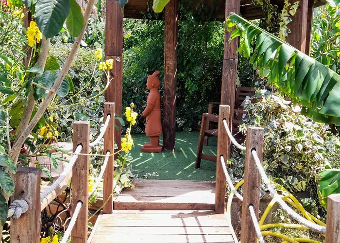 Don Pedro Santa Cruz de Tenerife