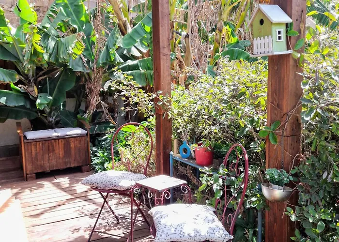 Don Pedro * Santa Cruz de Tenerife